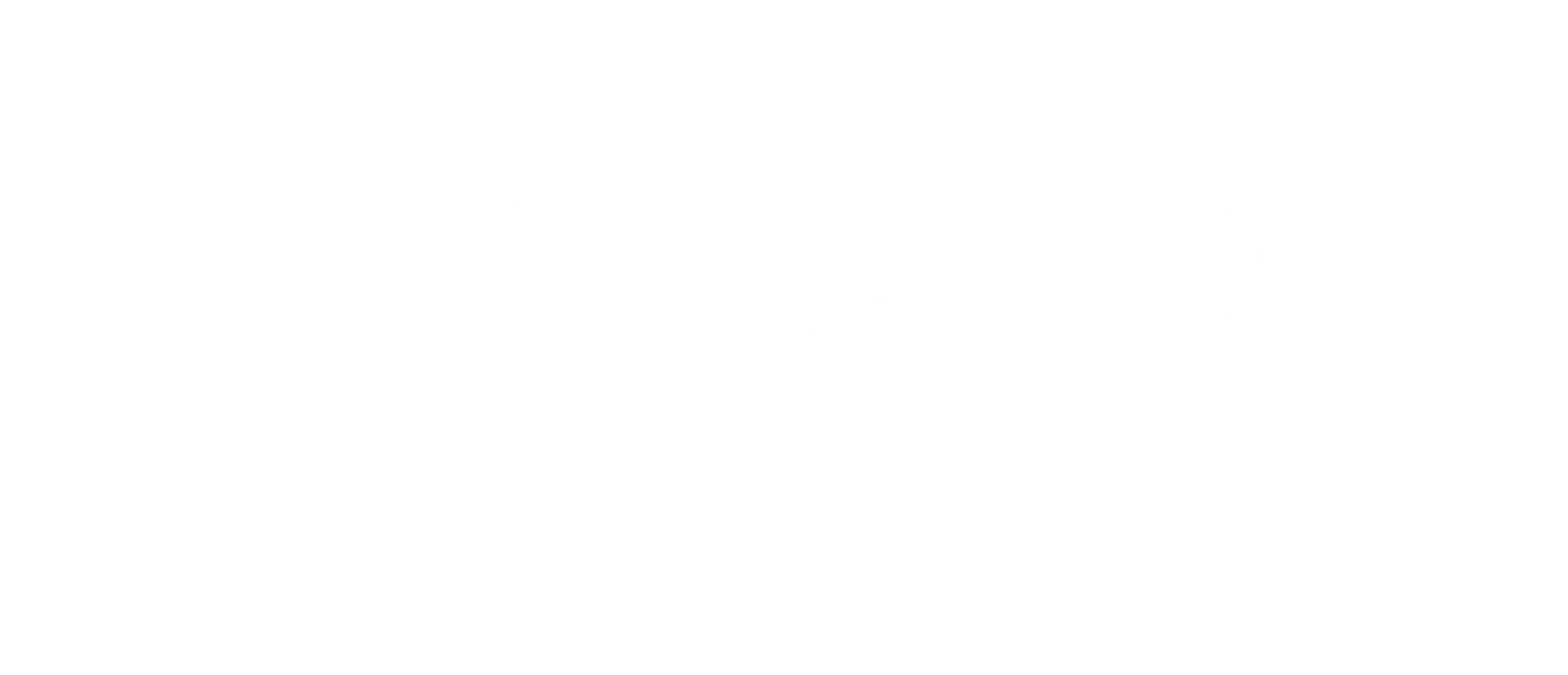 Steeve Li